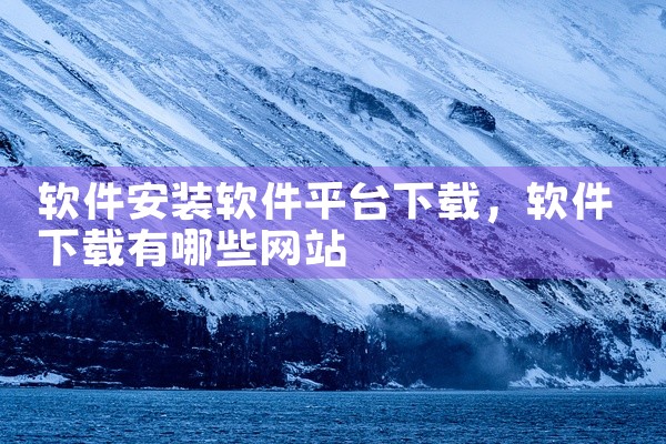 软件安装软件平台下载