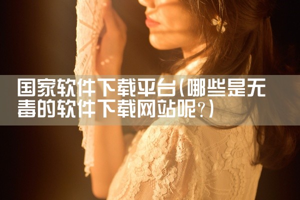 国家软件下载平台
